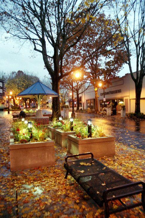 Downtown Camas on a rainy autumn evening, lit storefronts and street planters