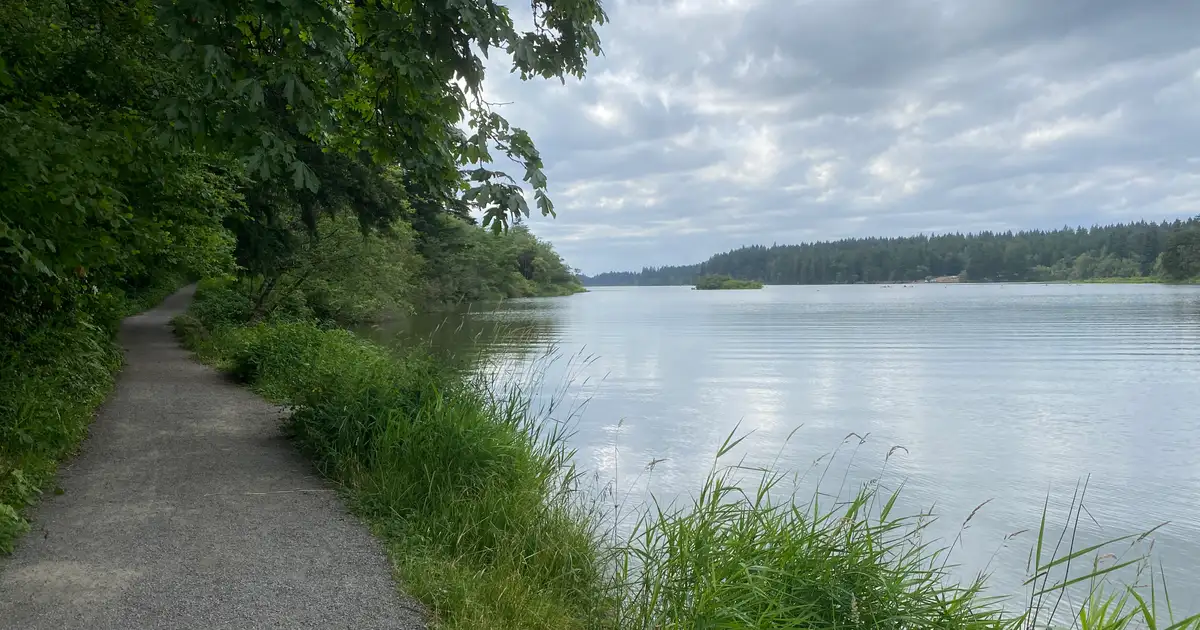 Wooded shoreline trail along a Pacific Northwest lake
