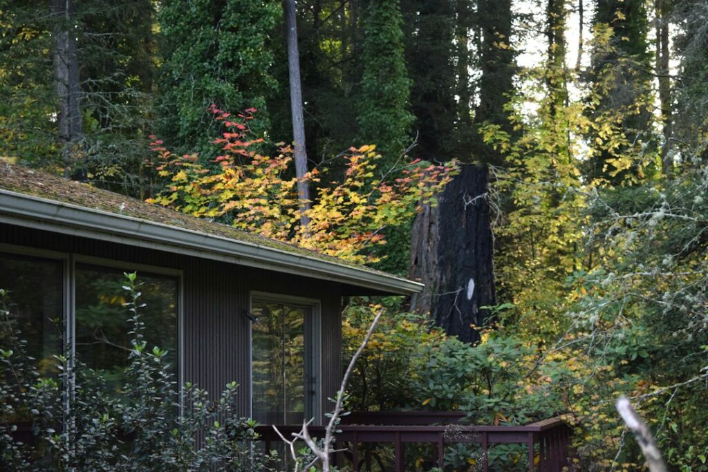 Contemporary home in a wooded Pacific Northwest setting, illustrating Clark County luxury home pricing strategy